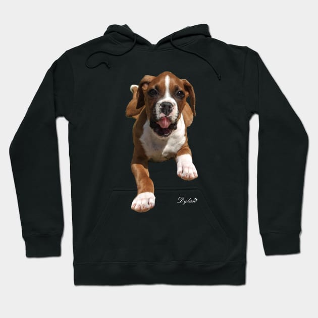 Boxer Love Hoodie by DylanArtNPhoto